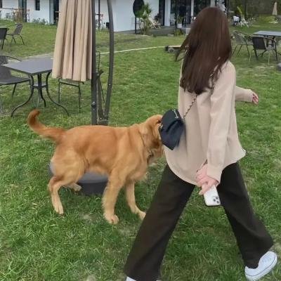 逃离人间